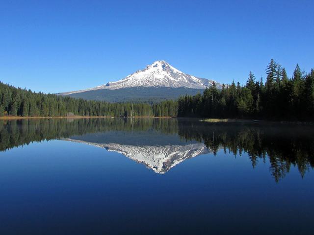 Mount Hood National Forest